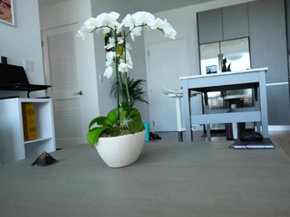 PervMom-Rewarding Good Behavior