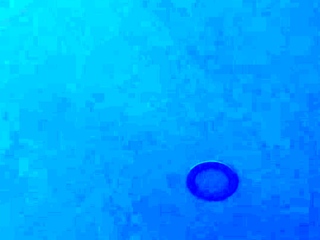 ذهبت إلى بلدي ووجدتها ككيس أو